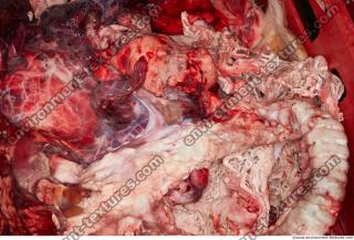 Photo Textures of RAW Pork Viscera